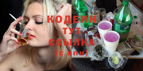 ГАЛЛЮЦИНОГЕННЫЕ ГРИБЫ Арсеньев