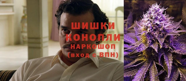 ГАЛЛЮЦИНОГЕННЫЕ ГРИБЫ Арсеньев